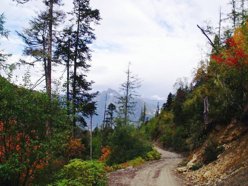 dscf8919.jpg