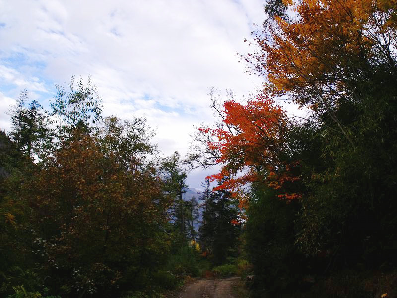 dscf8921.jpg