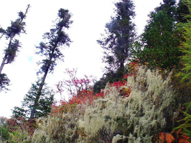 dscf8922.jpg