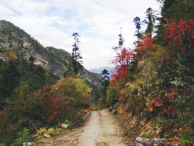 dscf8923.jpg