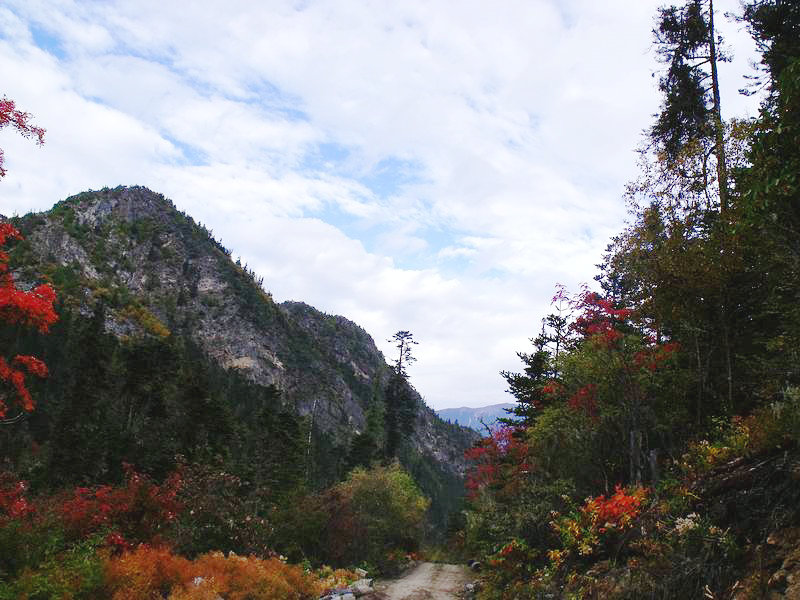 dscf8924.jpg