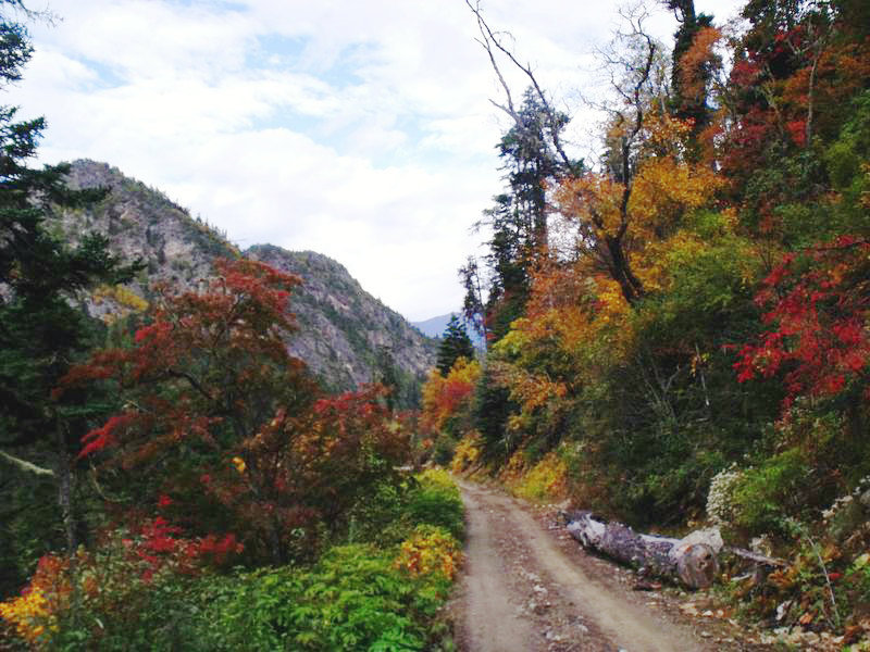 dscf8927.jpg