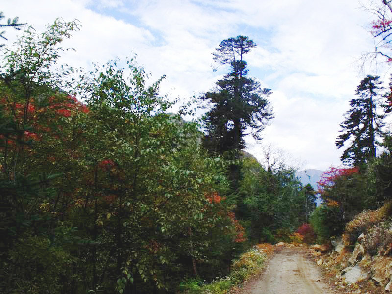 dscf8929.jpg