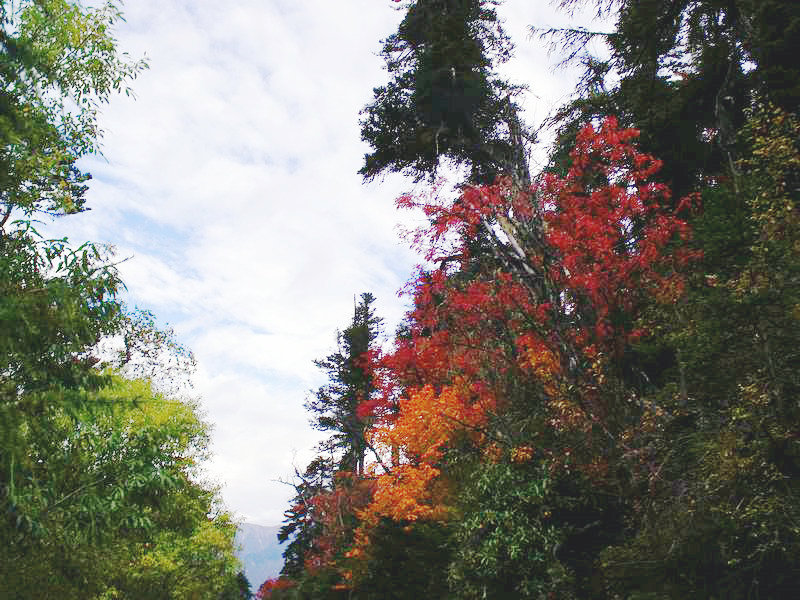dscf8930.jpg
