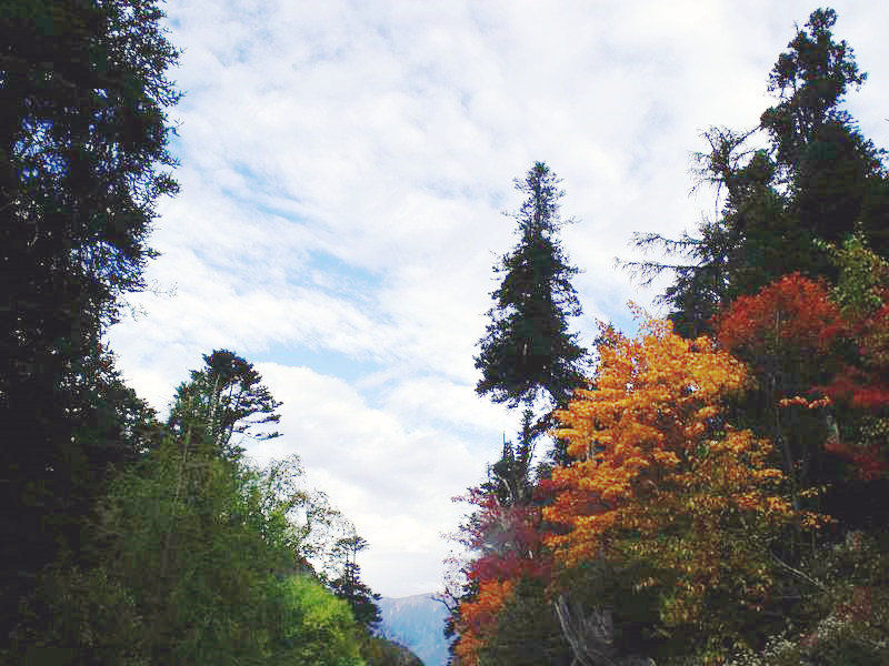 dscf8931.jpg