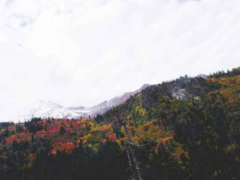 dscf8932.jpg