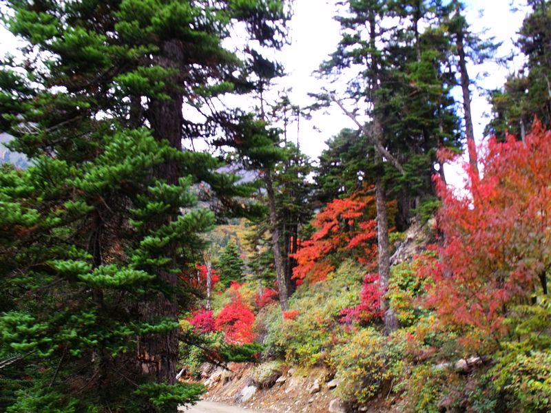 dscf8933.jpg