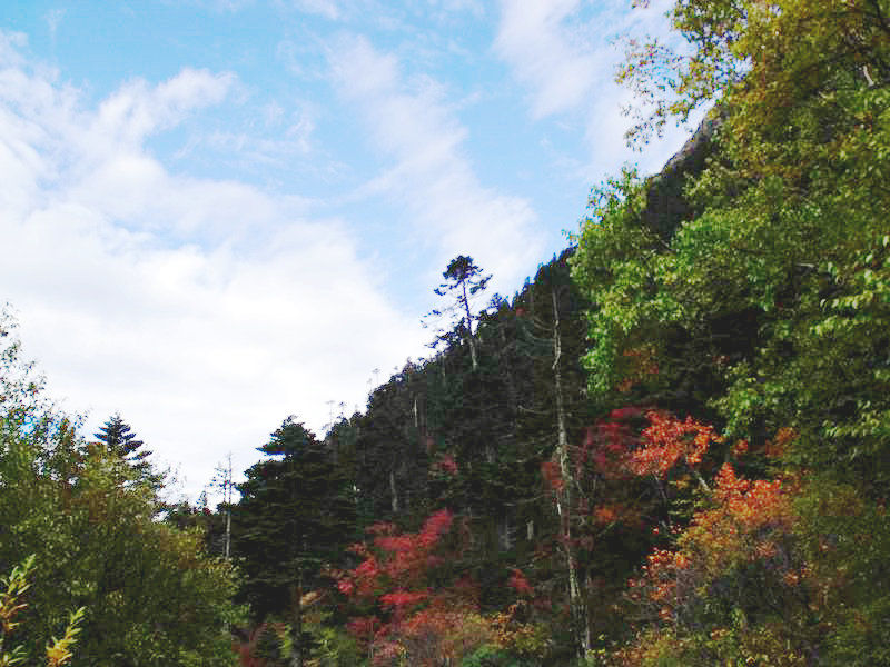 dscf8937.jpg