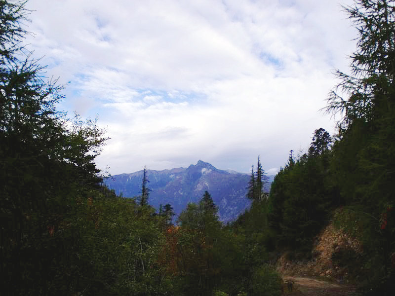 dscf8918.jpg