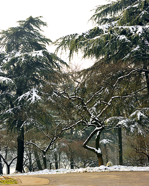 _dsc4250a.jpg