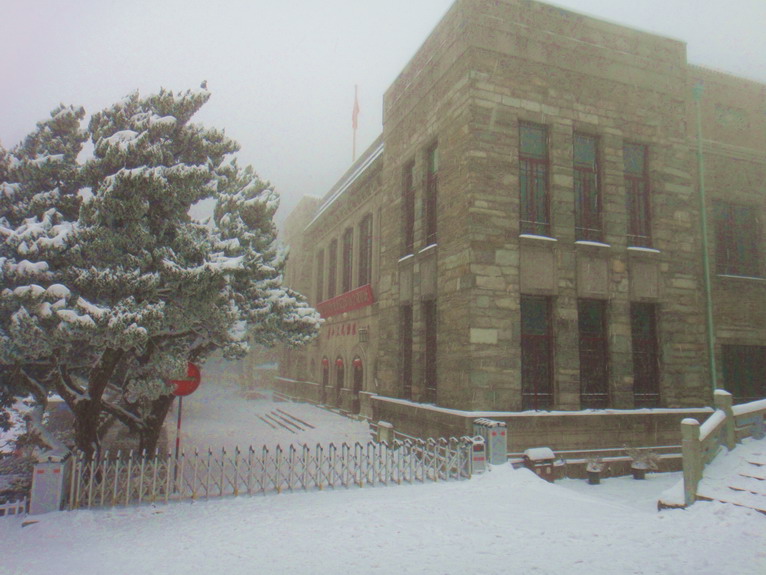 dc00248.jpg