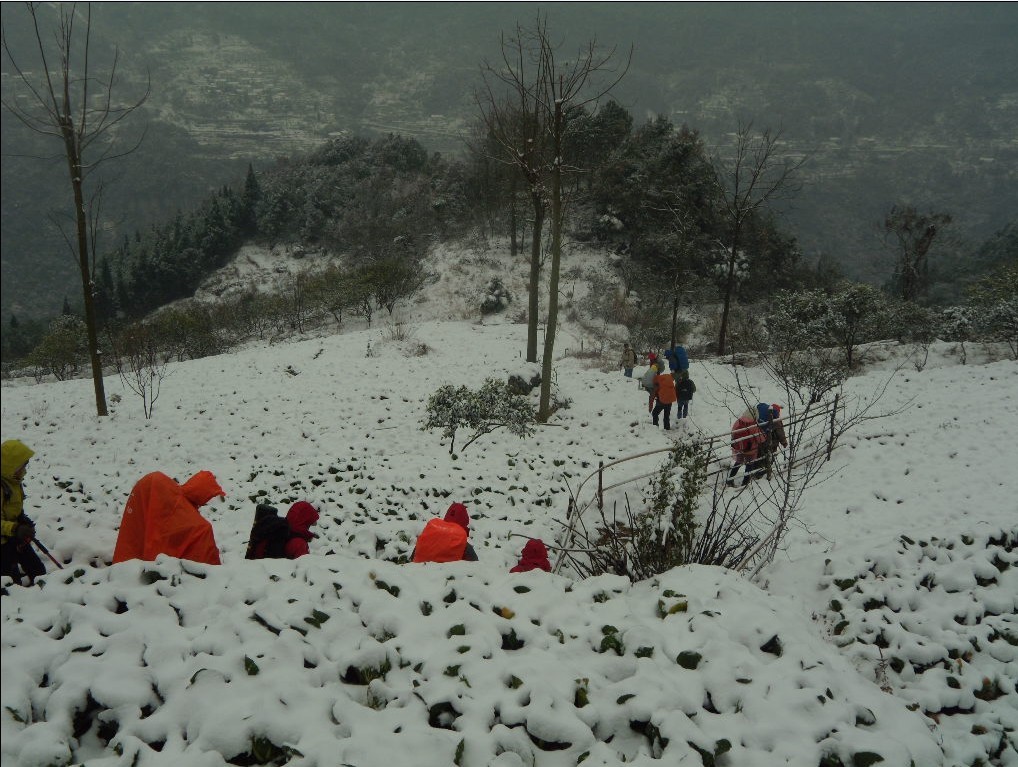 05.jpg