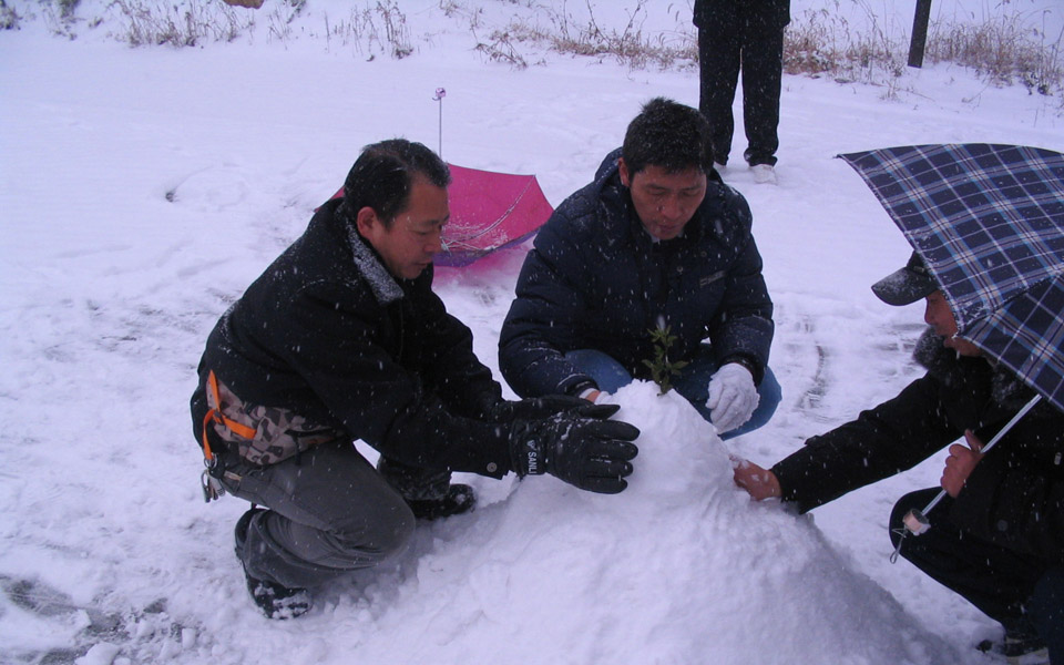 2011141624585456.jpg