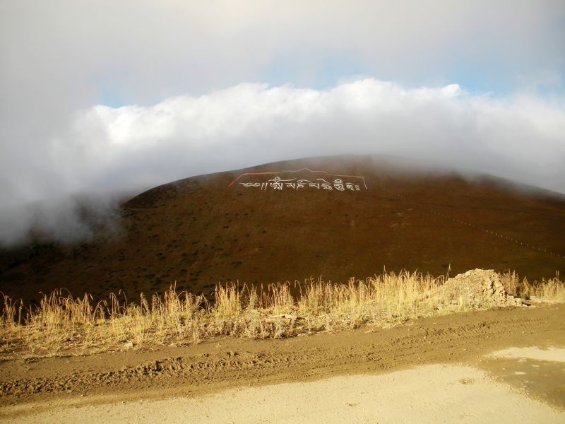 dscn2569.jpg
