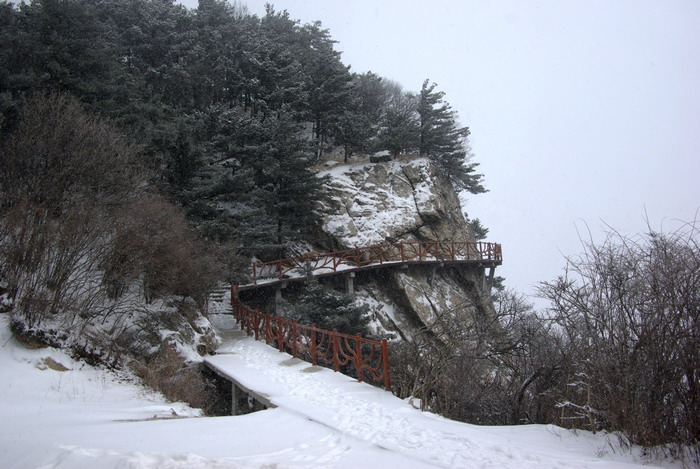 imgp9402-1.jpg