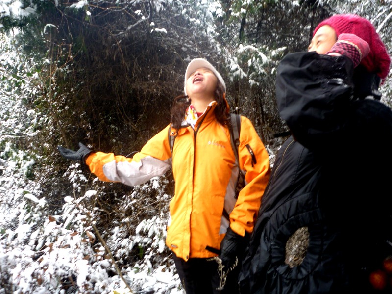 p1040156_.jpg