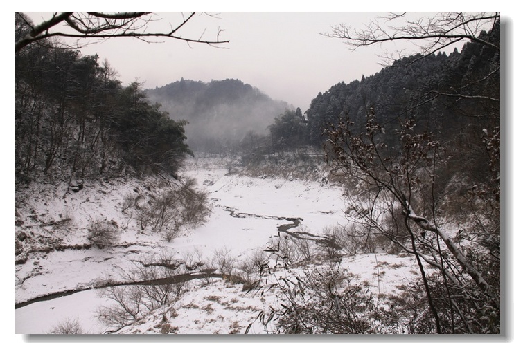 20111612352275817.jpg