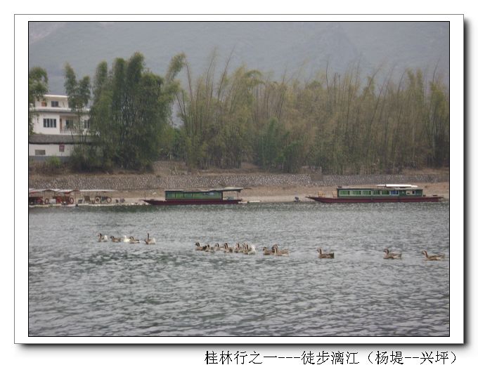 dsc08259-1.jpg