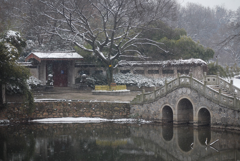 dsc_0006.jpg