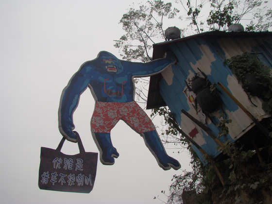 dsc07670.jpg