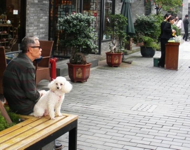 dscn3207.jpg