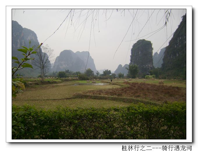 dsc08374-1.jpg