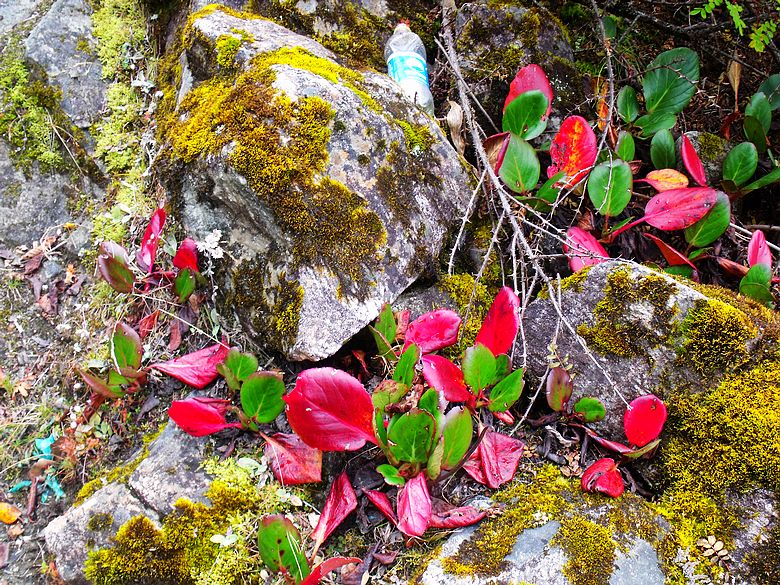 dscf8981.jpg