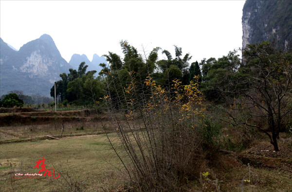 Ƭ 026-1.jpg