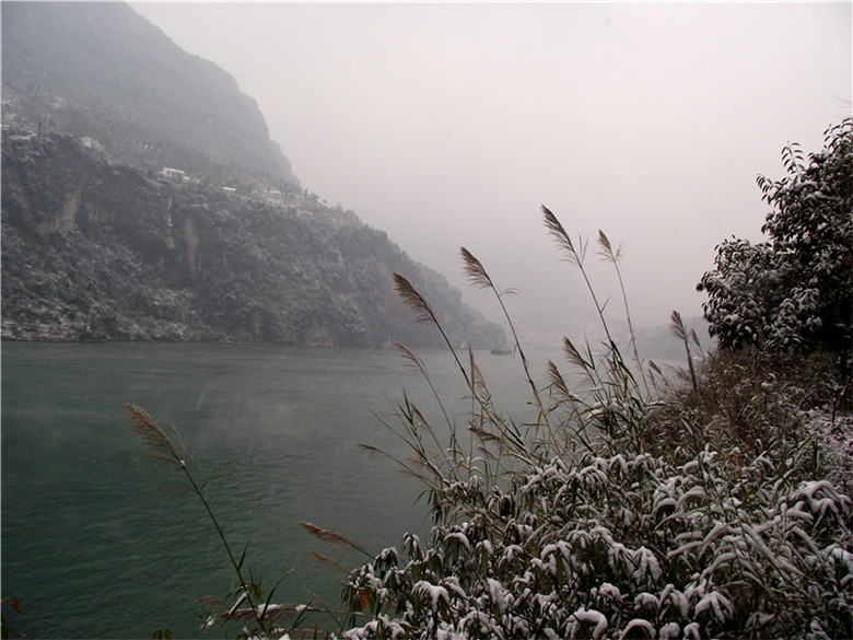 2011_01020109_.jpg