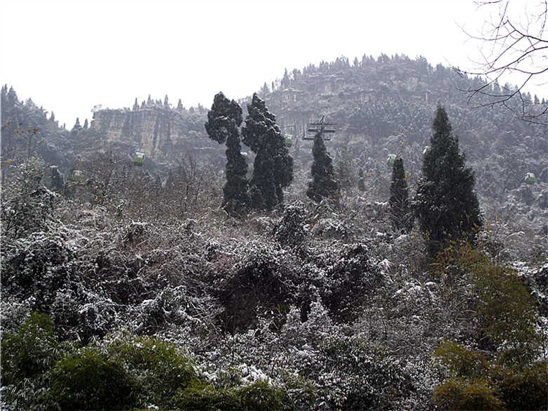 2011_01020114_.jpg