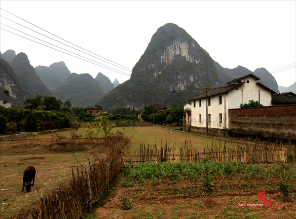 Ƭ 064-1.jpg