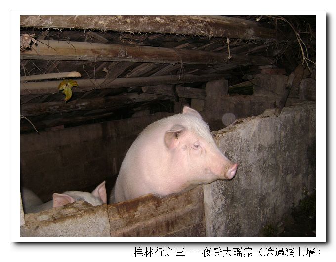 dsc08417-1.jpg