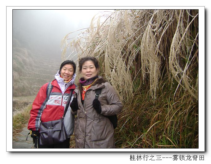 dsc08428-1.jpg