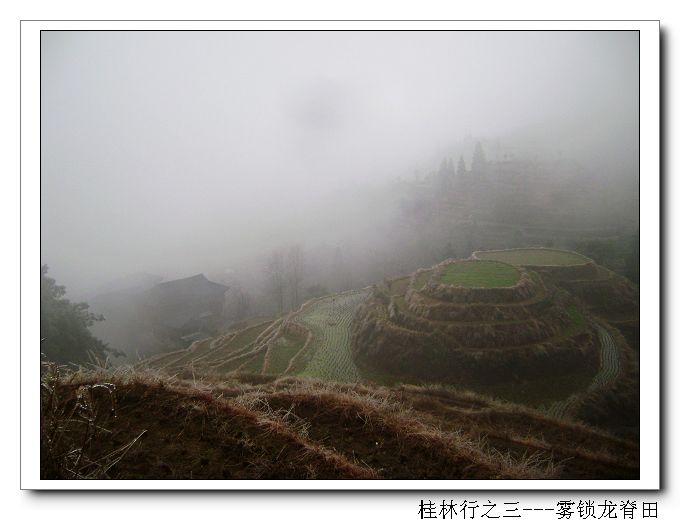 dsc08446-1.jpg