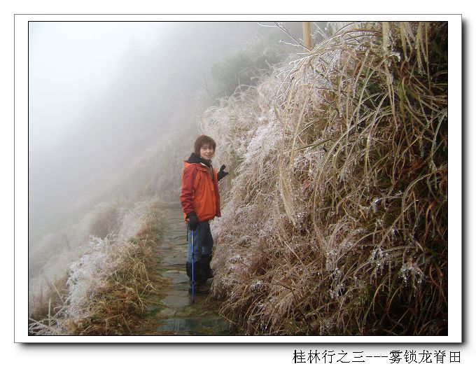 dsc08444-1.jpg