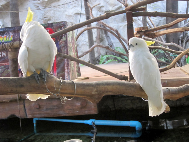 img_5752.jpg