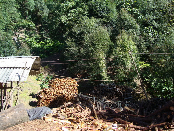 dsc07477_СС.jpg