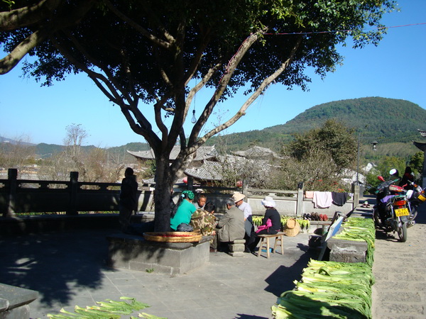 dsc07480_СС.jpg
