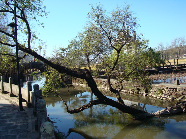 dsc07485_СС.jpg