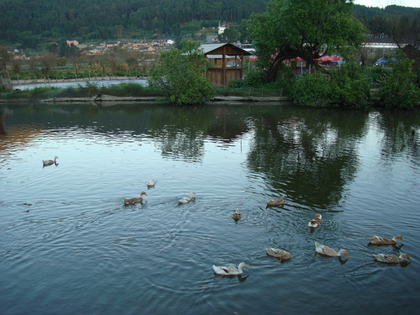 dsc07524_СС.jpg
