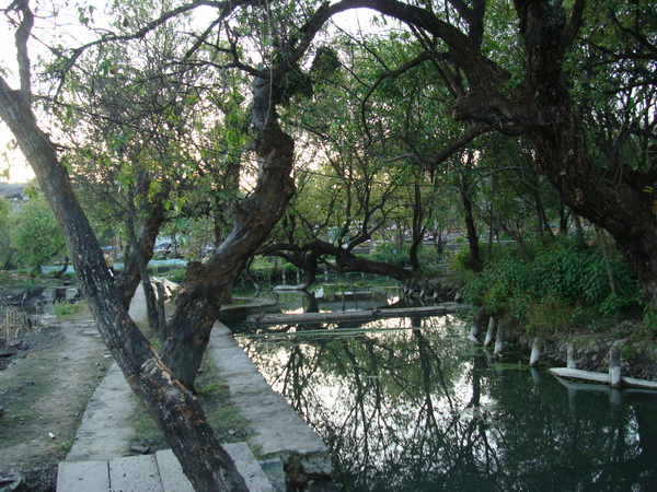 dsc07520_СС.jpg