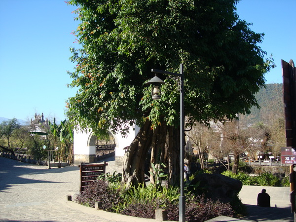 dsc07482_СС.jpg