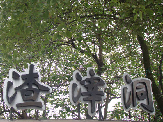 dsc07921.jpg