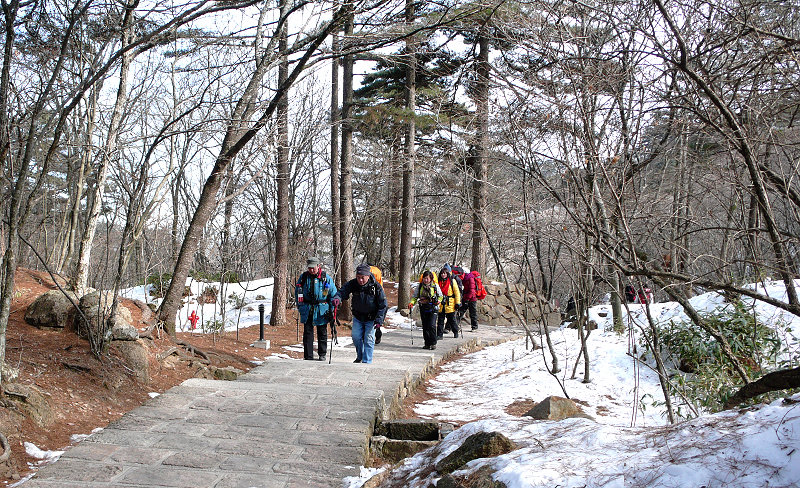 p1100007.jpg