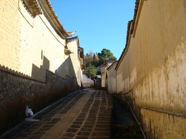 dsc07503_СС.jpg