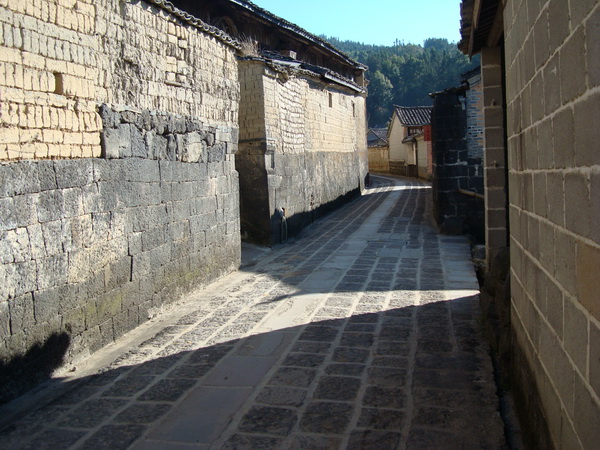 dsc07495_СС.jpg