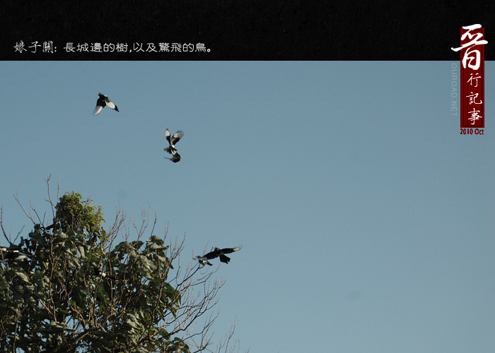 20101002_0104.jpg