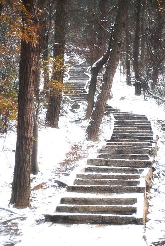 201114194644005.jpg