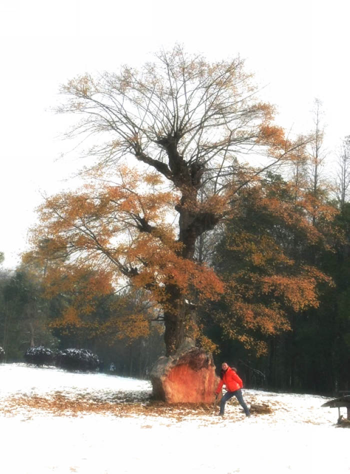 20111612565643884.jpg