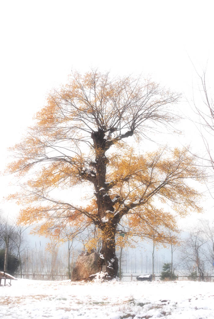 20111418545453906.jpg